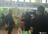 中国猕猴桃网站领导者帮助百万果农脱贫