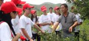 大学生回乡种草莓 5亩大棚起航农业梦想