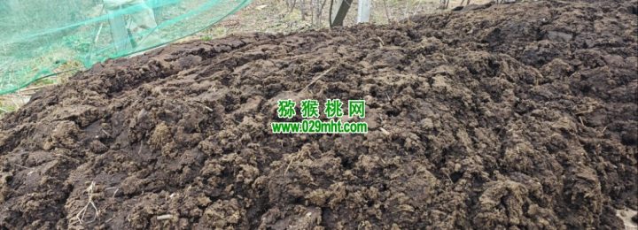 周至猕猴桃使用农家肥，放心