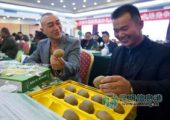昆明市场上卖的猕猴桃有80%都产自陕西周至县