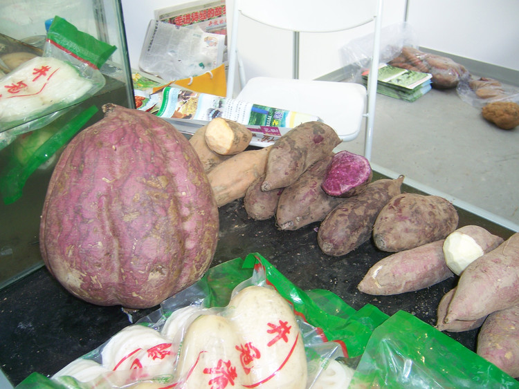 20107894453461