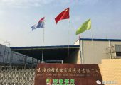 眉县七户企业喜获市级农业产业化经营重点龙头企业荣誉