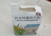 转基因食品