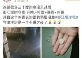 猕猴桃灾年！暴雨+冰雹，成都都江堰猕猴桃再遭灾害！