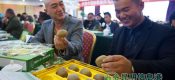 21届杨凌农高会猕猴桃姿势高