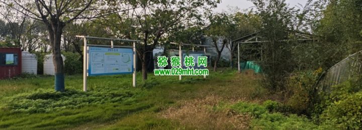 猕猴桃智能ai体促进猕猴桃产业智能化