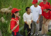 大学生村官创建农业旅游合作社