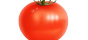 养生：西红柿汤有助提高男性生育力
