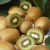 周至猕猴桃闻名于北京水果市场