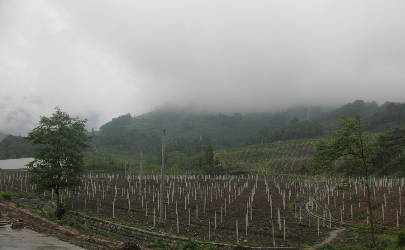 image04